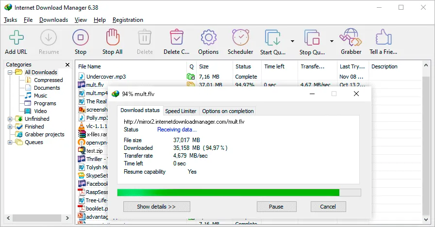 Internet Download Manager Programı Ekran Görüntüsü
